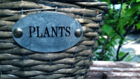 Plants02